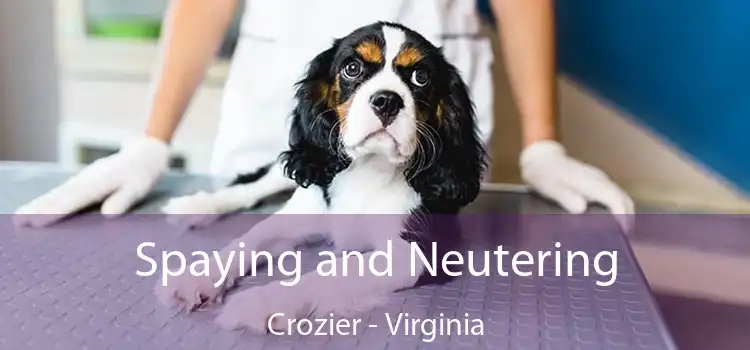 Spaying and Neutering Crozier - Virginia