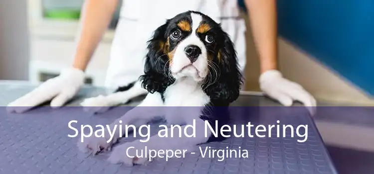 Spaying And Neutering Culpeper - Low Cost Pet Spay And Neuter Clinic