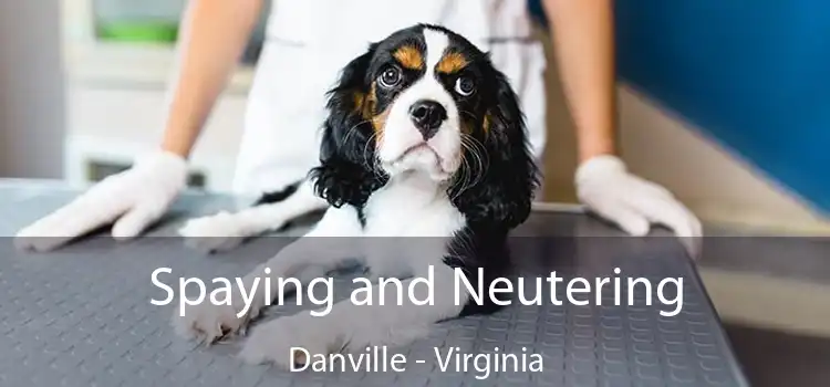 Spaying and Neutering Danville - Virginia