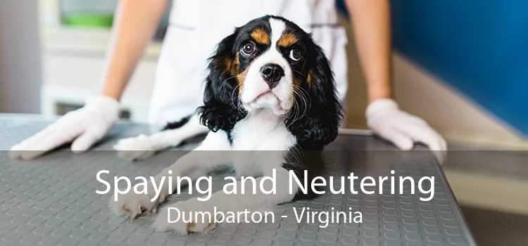 Spaying and Neutering Dumbarton - Virginia
