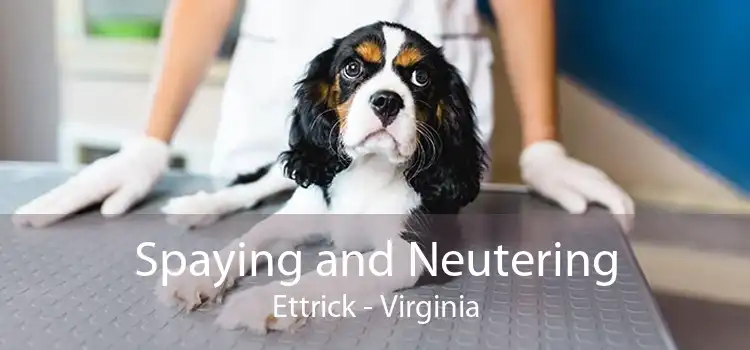 Spaying and Neutering Ettrick - Virginia