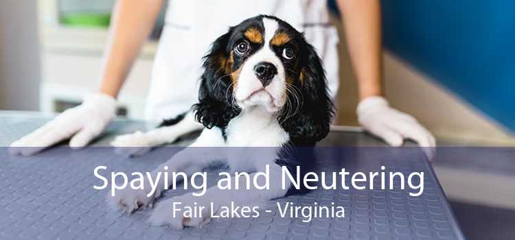 Spaying and Neutering Fair Lakes - Virginia