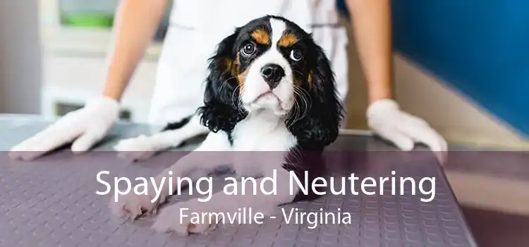 Spaying and Neutering Farmville - Virginia