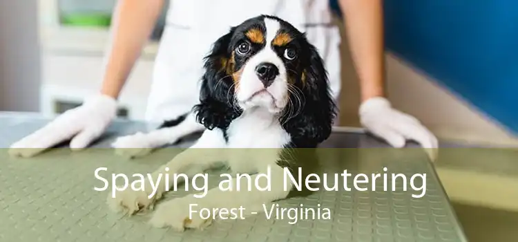 Spaying and Neutering Forest - Virginia