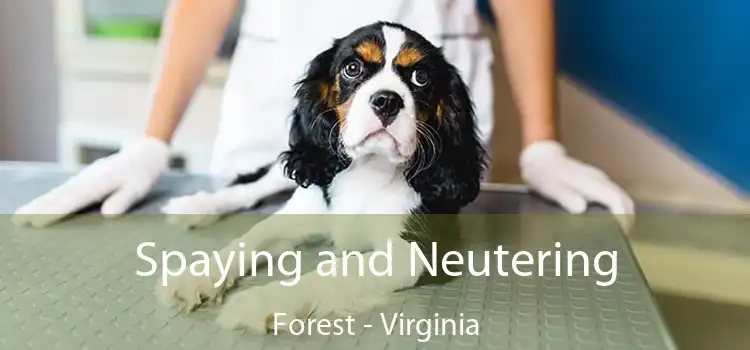 Spaying and Neutering Forest - Virginia