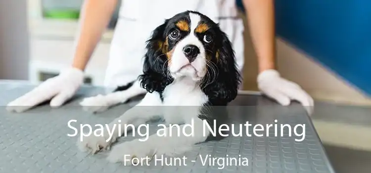 Spaying and Neutering Fort Hunt - Virginia