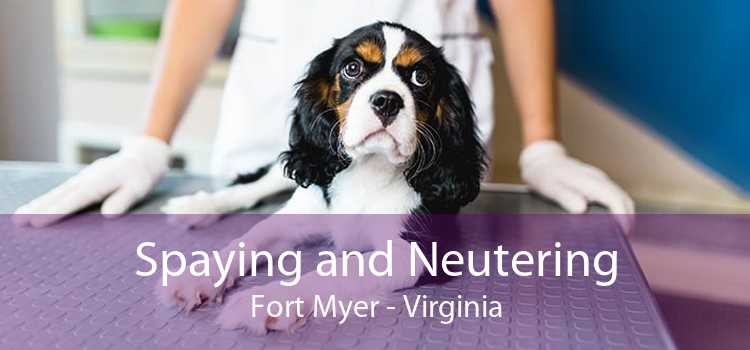 Spaying and Neutering Fort Myer - Virginia