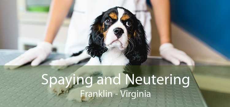 Spaying and Neutering Franklin - Virginia