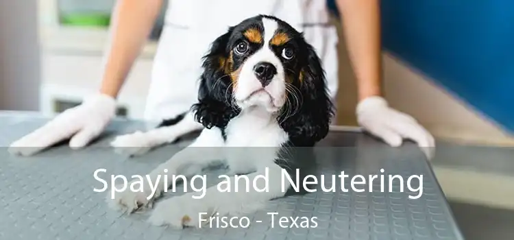 Spaying and Neutering Frisco - Texas