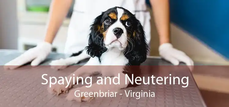 Spaying and Neutering Greenbriar - Virginia