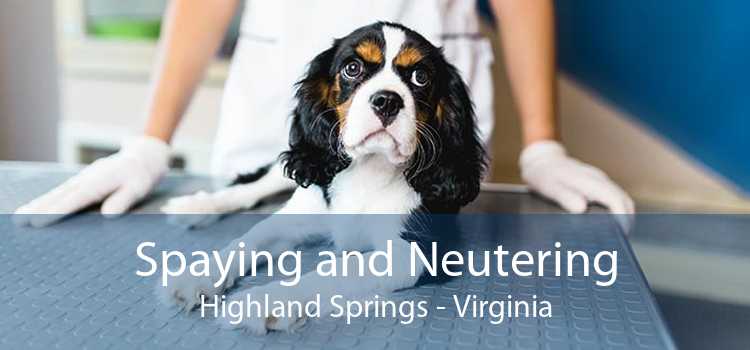 Spaying and Neutering Highland Springs - Virginia