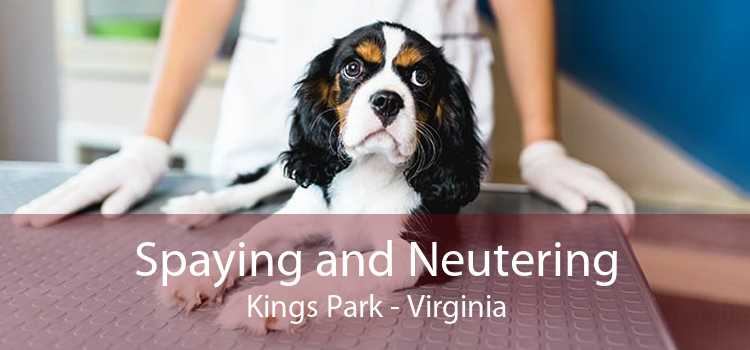 Spaying and Neutering Kings Park - Virginia