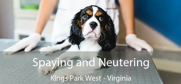 Spaying and Neutering Kings Park West - Virginia