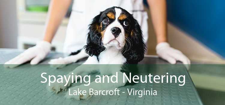 Spaying and Neutering Lake Barcroft - Virginia
