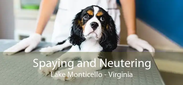 Spaying and Neutering Lake Monticello - Virginia