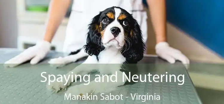 Spaying and Neutering Manakin Sabot - Virginia