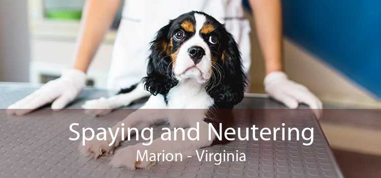 Spaying and Neutering Marion - Virginia