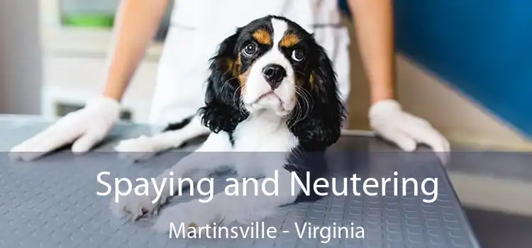 Spaying and Neutering Martinsville - Virginia