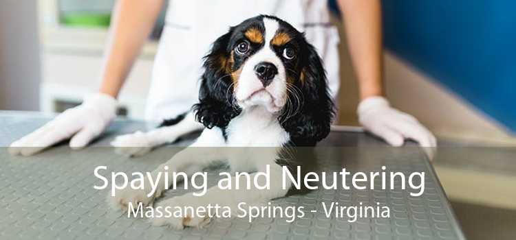 Spaying and Neutering Massanetta Springs - Virginia