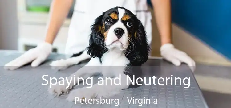 Spaying and Neutering Petersburg - Virginia