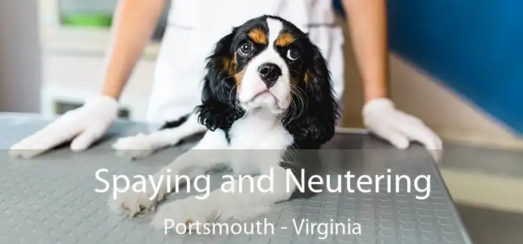 Spaying and Neutering Portsmouth - Virginia