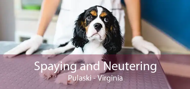 Spaying and Neutering Pulaski - Virginia