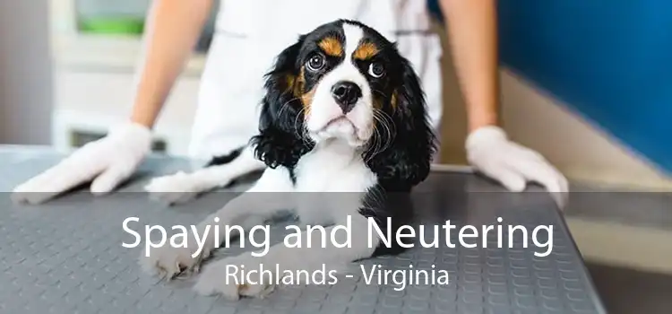 Spaying and Neutering Richlands - Virginia