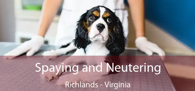 Spaying and Neutering Richlands - Virginia