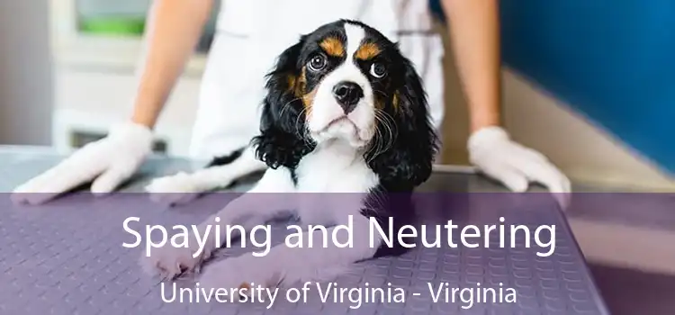 Spaying and Neutering University of Virginia - Virginia