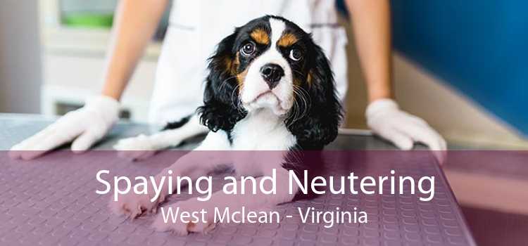 Spaying and Neutering West Mclean - Virginia