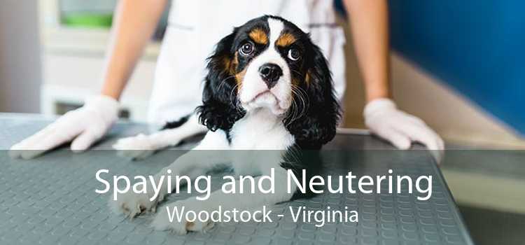 Spaying and Neutering Woodstock - Virginia