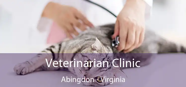 Veterinarian Clinic Abingdon - Virginia