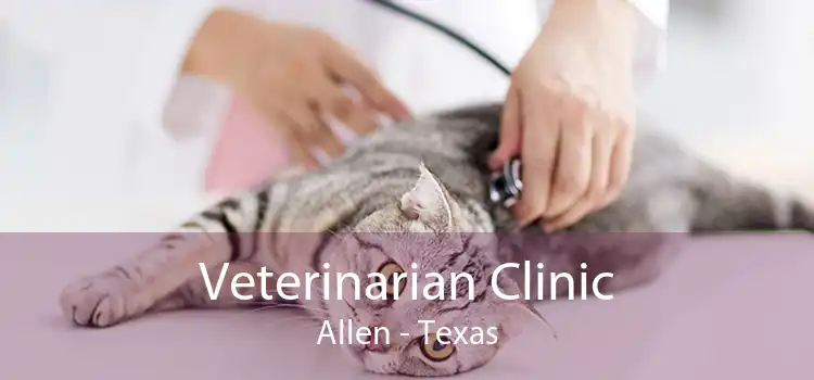 Veterinarian Clinic Allen - Texas