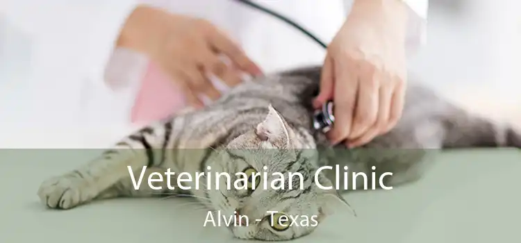 Veterinarian Clinic Alvin - Texas