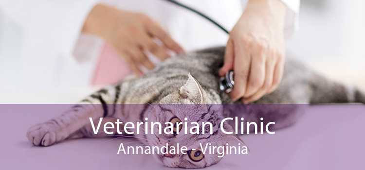 Veterinarian Clinic Annandale - Virginia