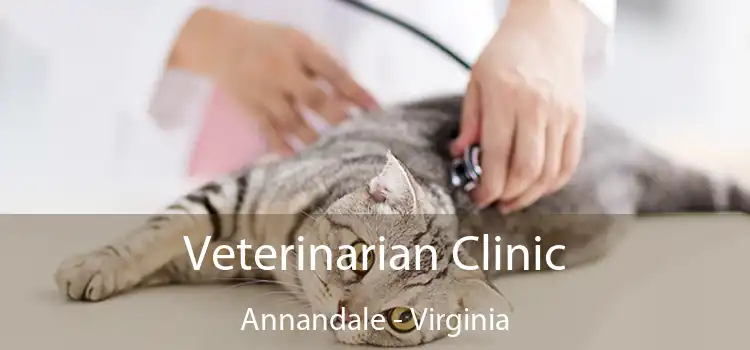 Veterinarian Clinic Annandale - Virginia