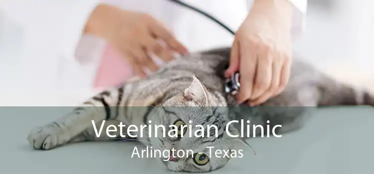 Veterinarian Clinic Arlington - Texas