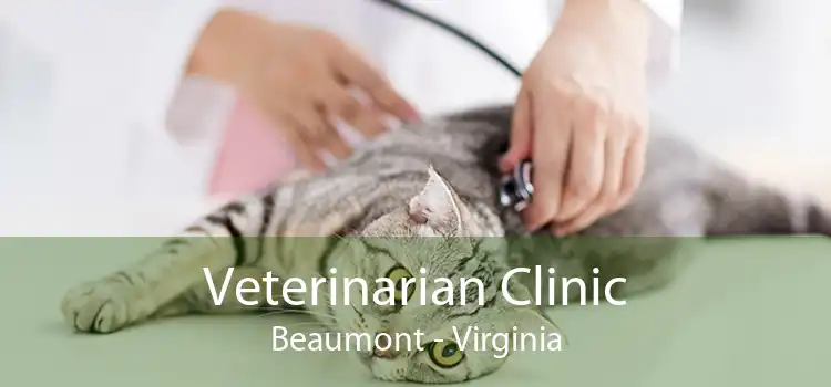 Veterinarian Clinic Beaumont - Virginia