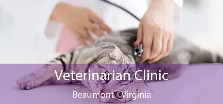 Veterinarian Clinic Beaumont - Virginia