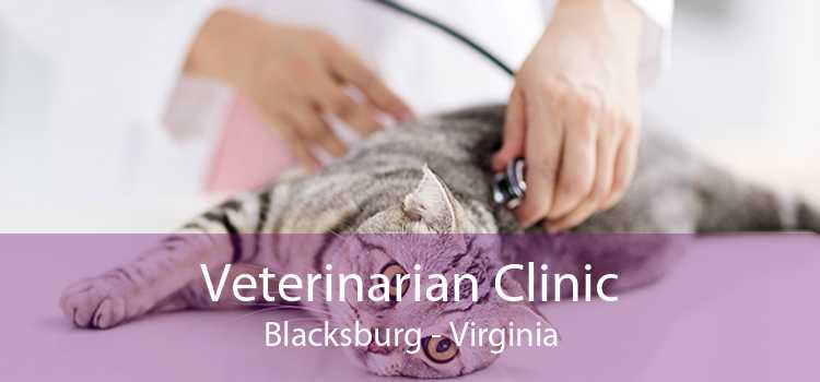 Veterinarian Clinic Blacksburg - Virginia