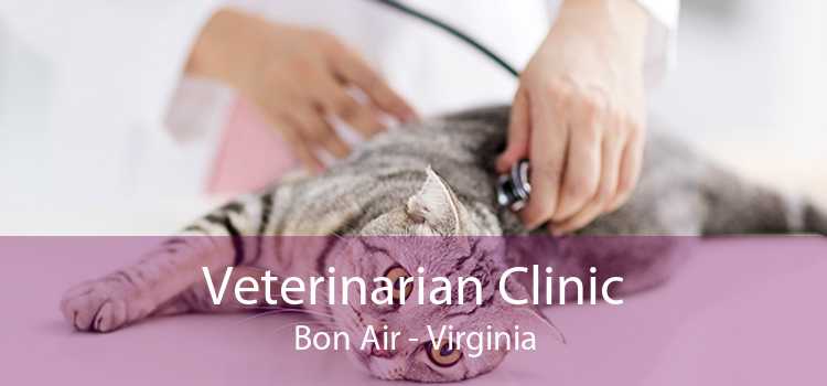 Veterinarian Clinic Bon Air - Virginia