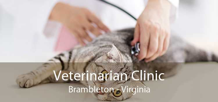 Veterinarian Clinic Brambleton - Virginia