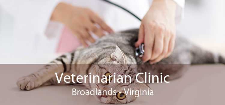 Veterinarian Clinic Broadlands - Virginia