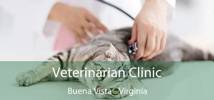 Veterinarian Clinic Buena Vista - Virginia