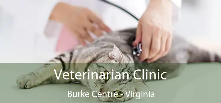 Veterinarian Clinic Burke Centre - Virginia