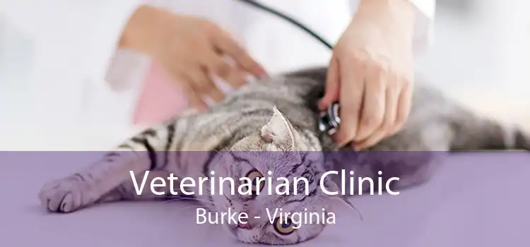 Veterinarian Clinic Burke - Virginia