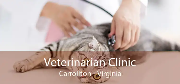 Veterinarian Clinic Carrollton - Virginia