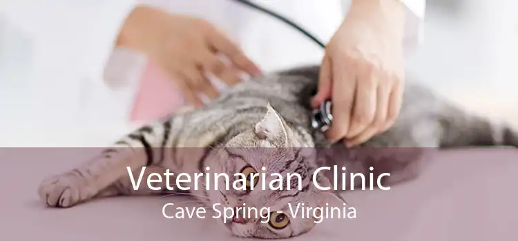 Veterinarian Clinic Cave Spring - Virginia