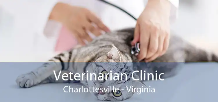 Veterinarian Clinic Charlottesville - Virginia