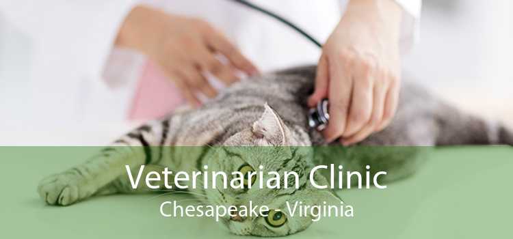 Veterinarian Clinic Chesapeake - Virginia